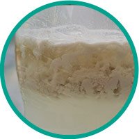 coconut-oil-cold-pressed