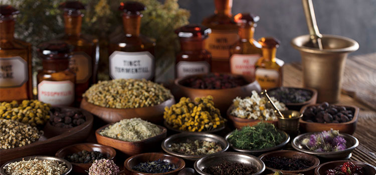 holistic ingredients for alternative medicine