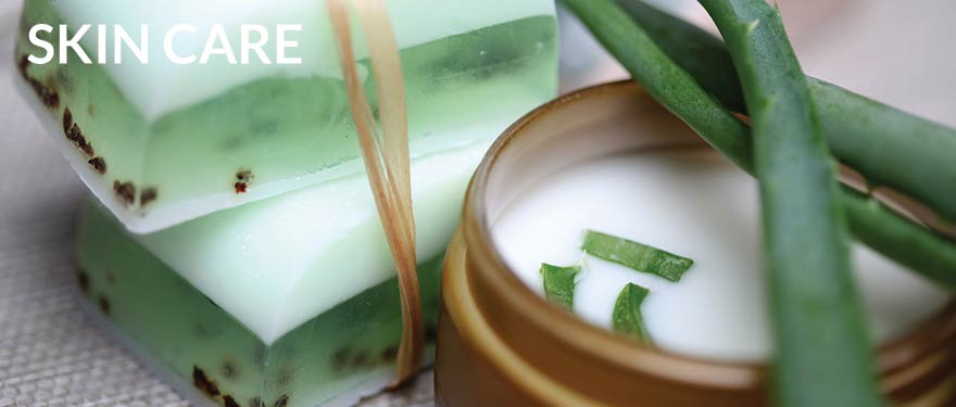 The Wonders of Aloe Vera: Products and Recipes You Can Make