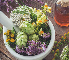 assortment of herbs