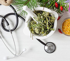 elements of integrative health