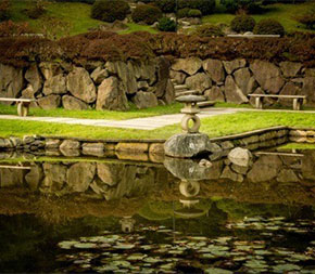 scenic pond