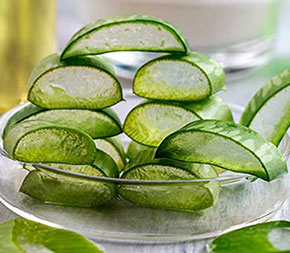 sliced aloe vera leaf in bowl in front of aloe vera oils and skin care product