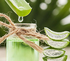 aloe vera leaf dripping juice into jar