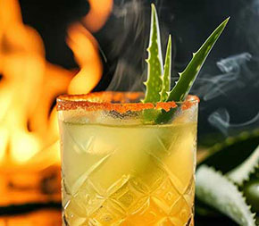 refreshing drink made and garnished with aloe vera leaves